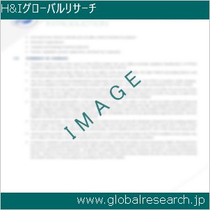 グローバルリサーチ調査レポートのイメージ
